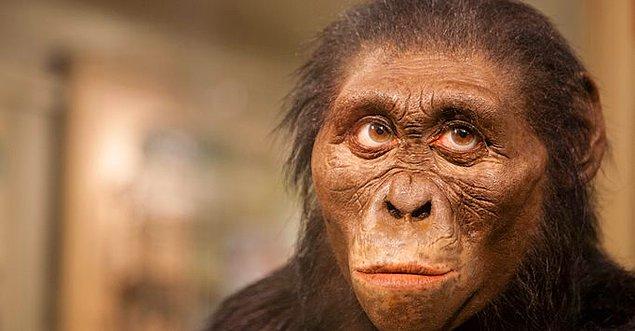 İkincisi, 3.2 milyon yaşındaki en eski ve eksiksiz insansı atamız Lucy.