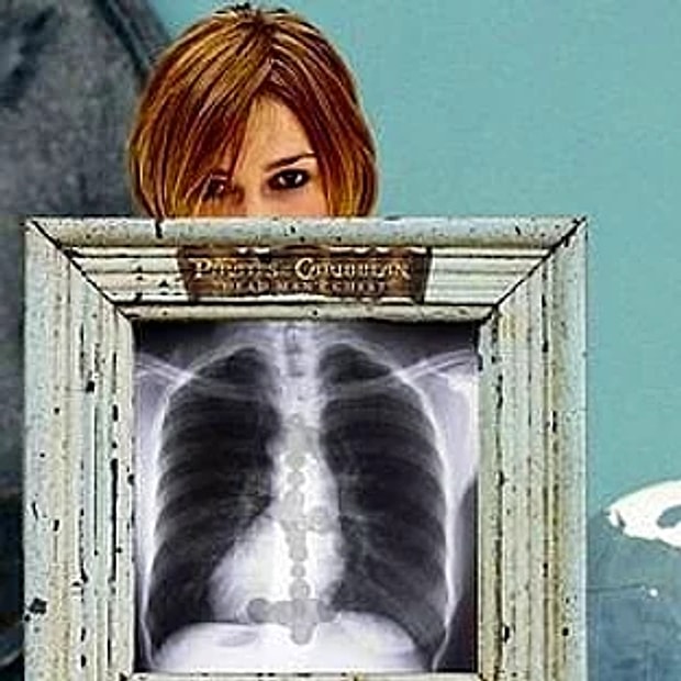 İç Organlar