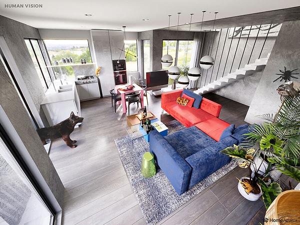 Как видит человек