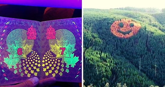 15 самых интерессных деталей-пасхалок, на которые наткнулись люди в реальной жизни