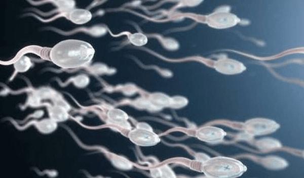 3. Spermin o kadar fazla yararı var ki yalnızca sağlık açısından değil, dünyanın kaderini belirleyen savaşlarda bile kullanılmış.