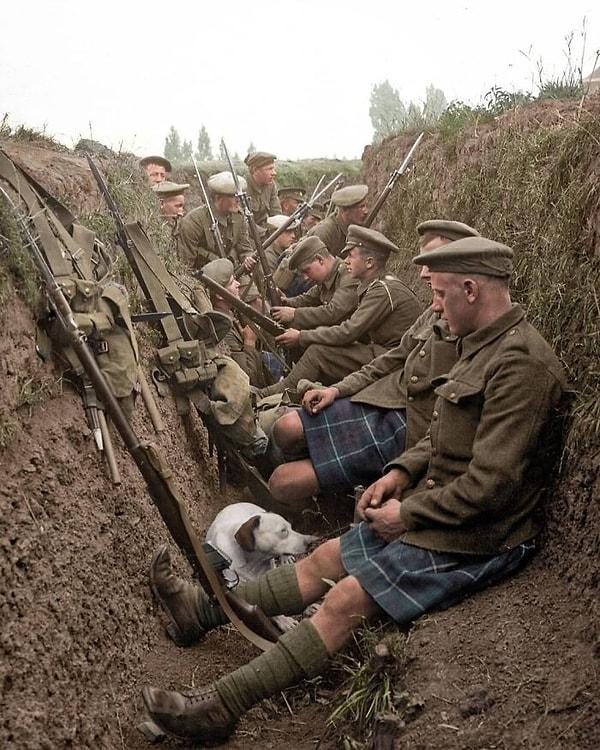 4. Seaforth Highlanders hattının askerleri (ve bir köpek) Ağustos 1915'te Fransa, La Gorgue yakınlarındaki bir siperde dinleniyorlar.