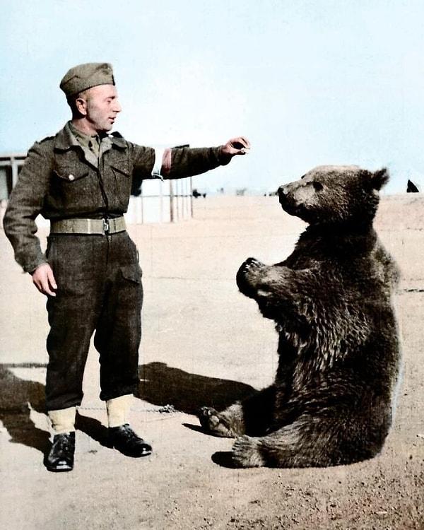 5. Ayı Wojtek, bir Polonyalı askerle beraber İran'da (1942).