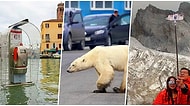 Korkutucu Gelecek Bizi Bekliyor! Küresel Isınmanın Ciddiyetini Yüzünüze Vuracak 19 Fotoğraf