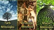Dünyadaki Farklı Kültürlerin Mitolojilerinde Yer Alan 12 Kutsal Ağaç ve Fantastik Özellikleri