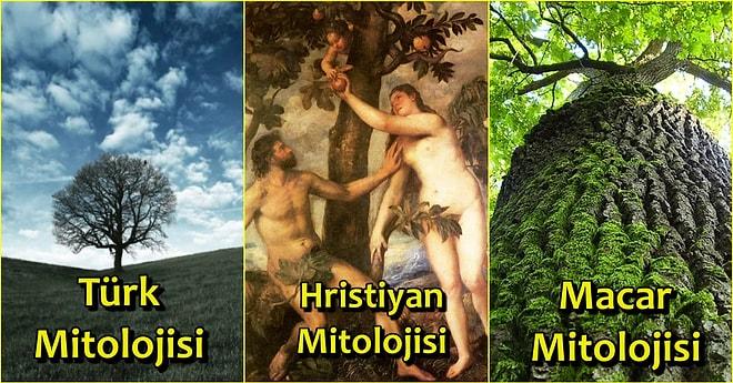 Dünyadaki Farklı Kültürlerin Mitolojilerinde Yer Alan 12 Kutsal Ağaç ve Fantastik Özellikleri