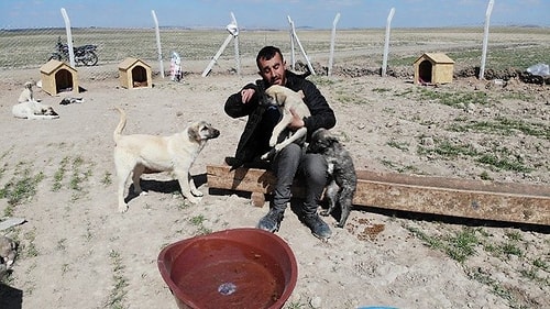 Sokak Köpeklerini Beslediği İçin Köyden Kovulan Engelli Genç, 'Canlar'ı için Barınak Yaptı