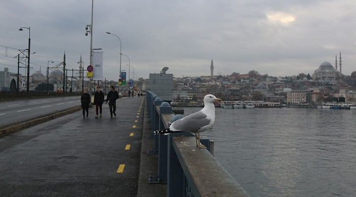 39 İlde Sokağa Çıkma Yasağı Başladı