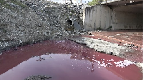 İstanbul'da Tedirgin Eden Görüntü: Derenin Rengi Kırmızıya Döndü