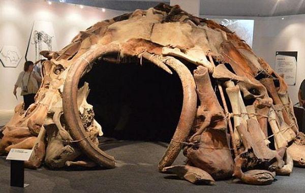 18. 1965'te keşfedilen birkaç mamut kemiklerinden yapılan kulübe, bir tür erken insan yerleşimi şekliydi.