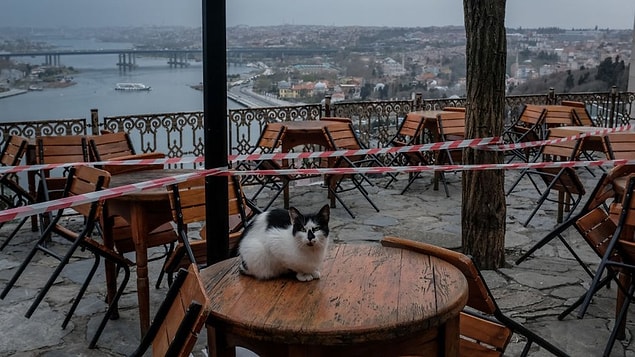 'Mevcut duruma devam edeceğiz'