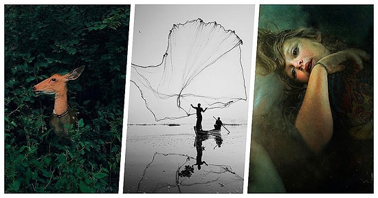 10. Mobil Fotoğrafçılık Ödülleri'ni Kazanan Akıllı Telefonla Çekilmiş Birbirinden Büyüleyici 30 Fotoğraf