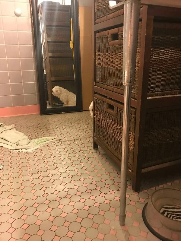 4. Он думает, что я его не вижу