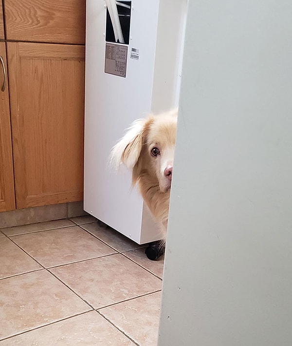 15. Каждое утро она смотрит, как я ухожу на работу, и это разбивает мне сердце