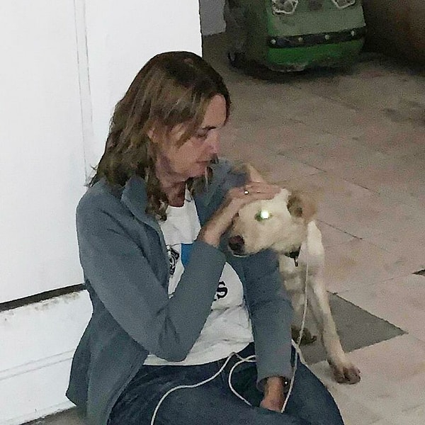 Бостон согрелся со своей спасительницей Марселой и начал прижиматься к ней