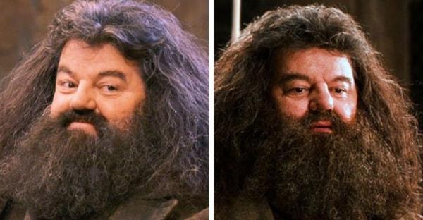 6. Rubeus Hagrid