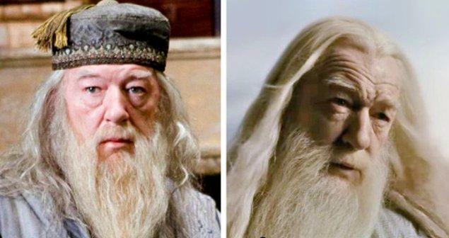 Birinci ve ikinci filmlerde Dumbledore'u oynayan aktör Richard Harris'ti. İlk filmin vizyona girdiği sırada 72 yaşındaydı.