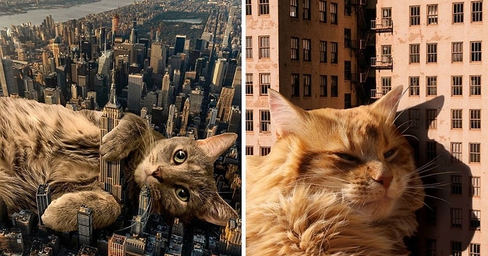 Цифровой художник использует Photoshop для создания сюрреалистических картинок с гигантскими кошками, покоривших Интернет