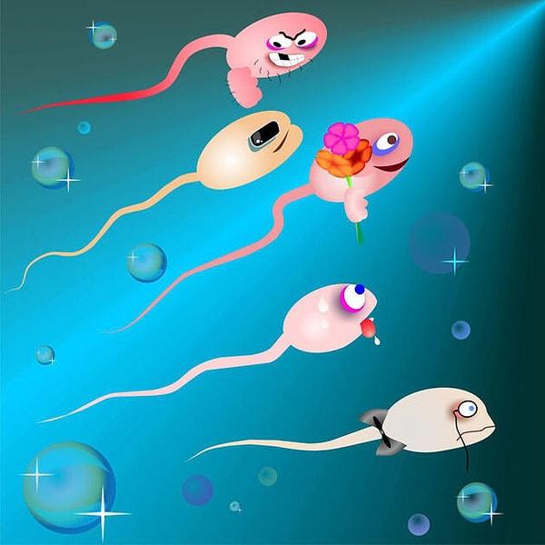6. Tene bulaşan sperm yürüyerek vajinaya kaç saatte ulaşabilir?