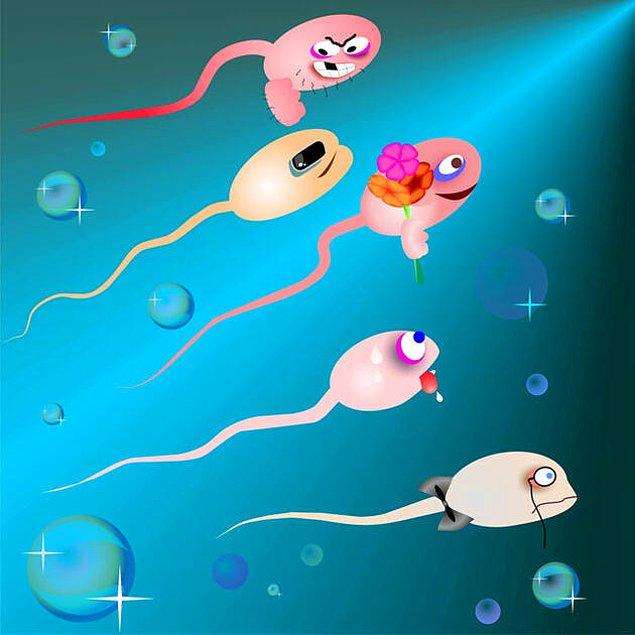 6. Tene bulaşan sperm yürüyerek vajinaya kaç saatte ulaşabilir?