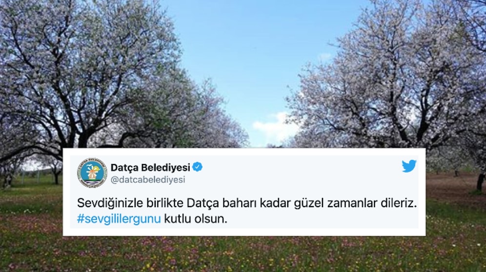 Datça Belediyesi, NFT Tweetini 6 Bin Dolara Sattı: Gelir, İhtiyaç Sahibi Kız Çocukları İçin Kullanılacak