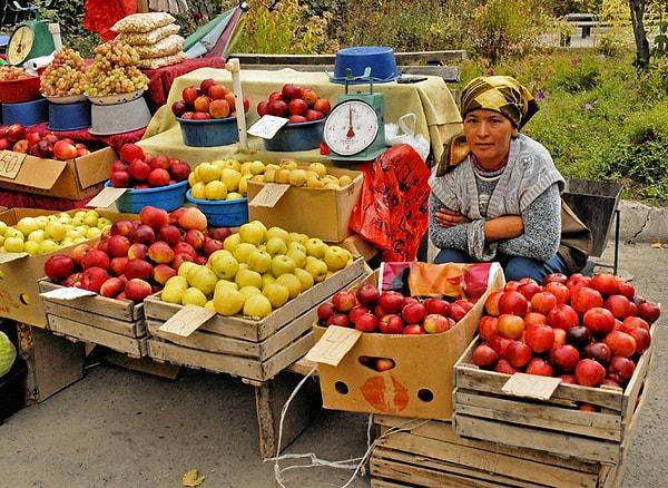 4. Yeryüzündeki ilk elmanın Kazakistan'ın eski başkenti Almatı'da ortaya çıktığına inanılıyor.