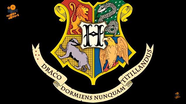8. Bunu belki biliyorsunuzdur, Hogwarts okulunun mottosu "Uyuyan bir ejderhayı asla gıdıklama!"