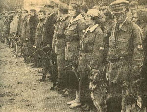 2. 2. Dünya Savaşı'nda Ruslar, düşman tanklarının altına girip saatli bomba bırakabilmesi için köpekleri eğitmişlerdi ve onlara "tanksavar köpekler" denildi.