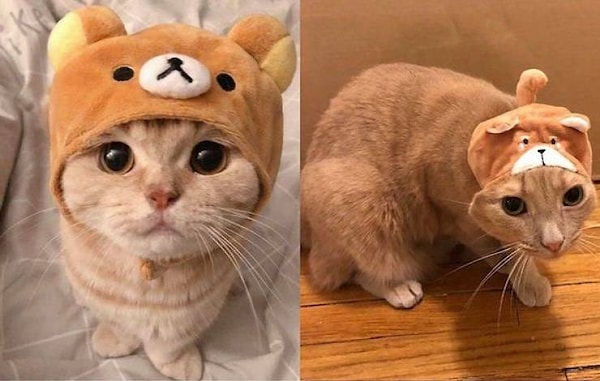 6. Размерчик не подошел...