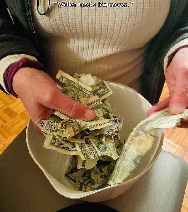 2. "Итог встречи моего кошелька с газонокосилкой".