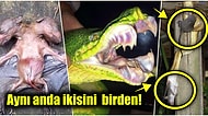 Doğanın Korkutucu Yüzünü İliklerinize Kadar Hissetmenize Sebep Olacak Birbirinden Ürkütücü 15 Yeni Fotoğraf