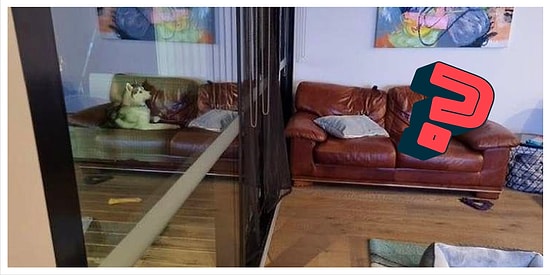 Хотите немного озадачить свой мозг? (12 фото)