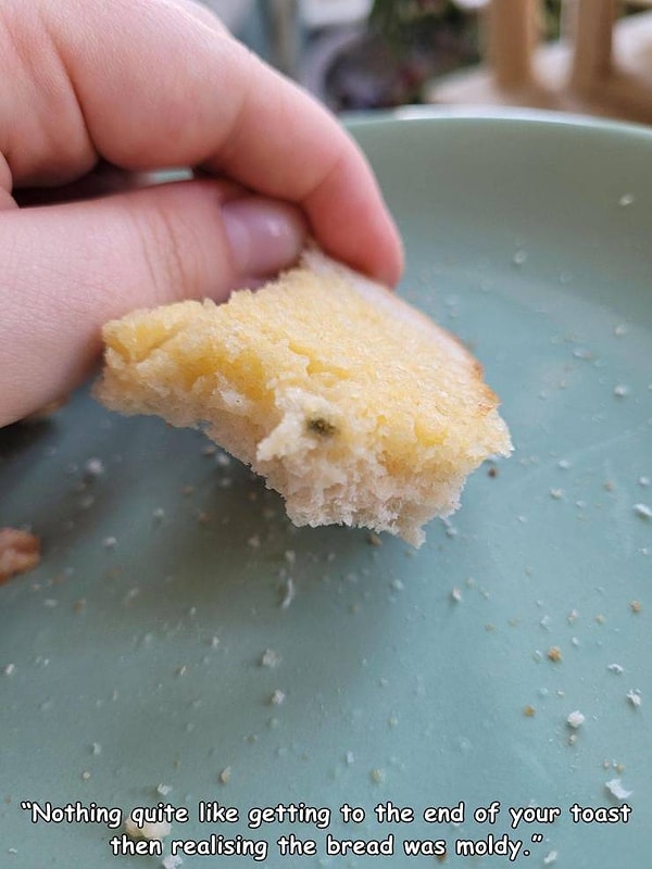 9. "Обожаю это великолепное чувство, когда доел свой тост почти до конца и на последнем кусочке понимаешь, что хлебушек-то был с плесенью!"