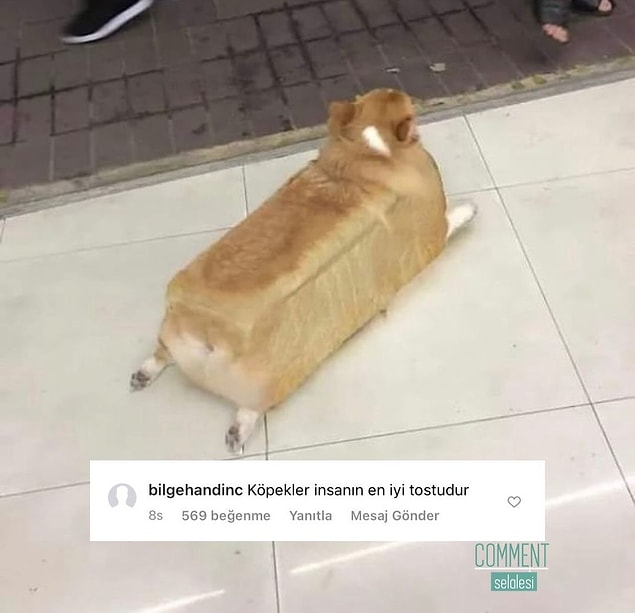13. Tost köpke.