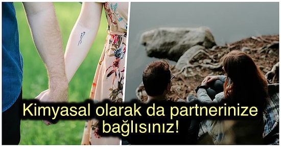 Eski Sevgilinize Tekrar Geri Dönme İsteğinizin Altında Yatan Bilimsel Gerçekler!