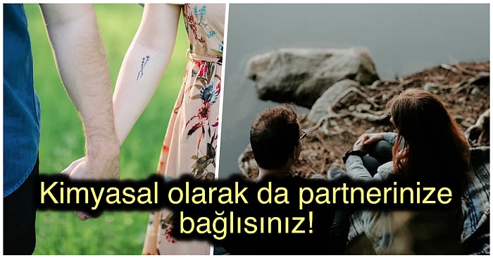 Eski Sevgilinize Tekrar Geri Dönme İsteğinizin Altında Yatan Bilimsel Gerçekler!