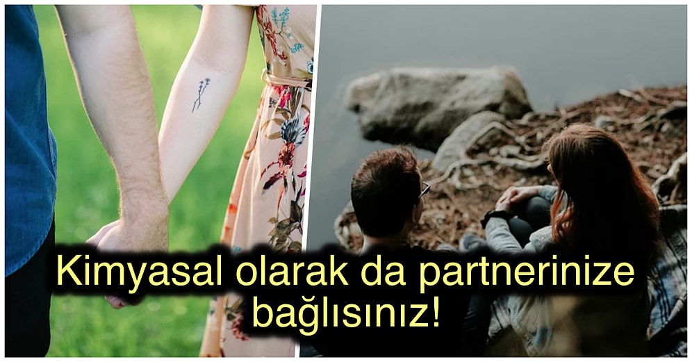 Eski Sevgilinize Tekrar Geri Dönme İsteğinizin Altında Yatan Bilimsel Gerçekler!