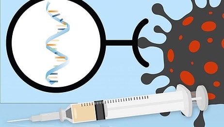 Stanford Üniversitesi’nden Araştırmacılar Pfizer/BioNTech ve Moderna Aşılarının 'Tarifi'ni Yayınladı