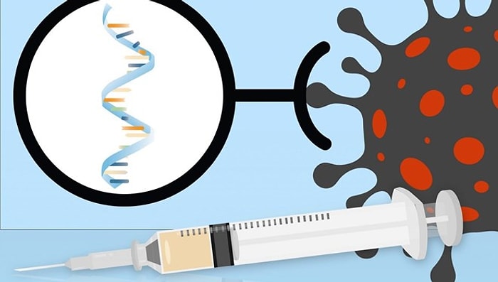 Stanford Üniversitesi’nden Araştırmacılar Pfizer/BioNTech ve Moderna Aşılarının 'Tarifi'ni Yayınladı