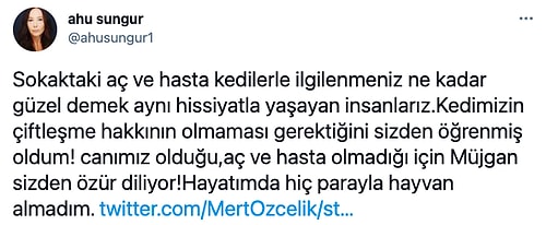 Cins Kedisini Çiftleştiren Ünlü Oyuncu Ahu Sungur, Gelen Eleştirilere Beyin Yakan Bir Cevap Verdi