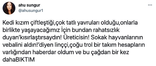 Cins Kedisini Çiftleştiren Ünlü Oyuncu Ahu Sungur, Gelen Eleştirilere Beyin Yakan Bir Cevap Verdi