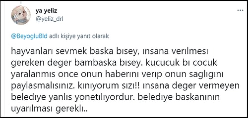 8 Yaşındaki Çocuk Kafasından Isırıldı, Belediyenin 'Minik Dostumuz' Tweeti Tepkilere Neden Oldu