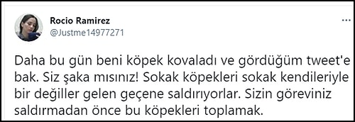 8 Yaşındaki Çocuk Kafasından Isırıldı, Belediyenin 'Minik Dostumuz' Tweeti Tepkilere Neden Oldu