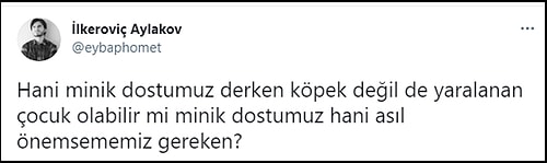 8 Yaşındaki Çocuk Kafasından Isırıldı, Belediyenin 'Minik Dostumuz' Tweeti Tepkilere Neden Oldu