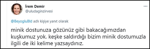 8 Yaşındaki Çocuk Kafasından Isırıldı, Belediyenin 'Minik Dostumuz' Tweeti Tepkilere Neden Oldu