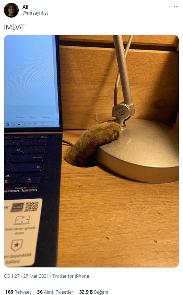 Help me!