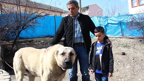 Böyle Bir Şey Olabilir mi? Erzurum'da Bir Vatandaş Köpeğinin Dile Gelip 'Benim Adım Ejder' Dediğini İddia Etti