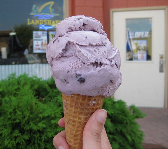 İzlandaca'da 'Dondurma Yolculuğu' anlamına gelen bir kelime vardır.