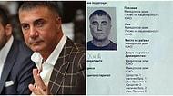 Sedat Peker'in Makedonya'da Sahte Evrakla İkamet Ettiği Ortaya Çıktı: 'Djadin Ademovski' İsmini Kullanmış