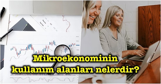 Ekonomi 101: En Basit Tabiriyle Mikroekonomi Nedir?
